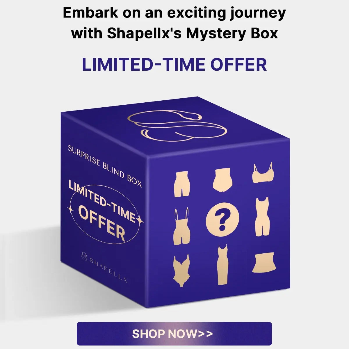 【PWA】MYSTERY BOX XL Mystery_Box_29_for_2_Surprise_